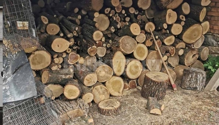 Униформени откриха общо 90 кубика незаконни дърва във Видинско, съобщиха