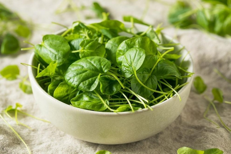 Диетолози: Най-полезните листни зеленчуци, които трябва да включите в менюто си