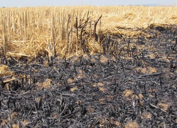 Държавата променя глобите които земеделците ще плащат при палене на