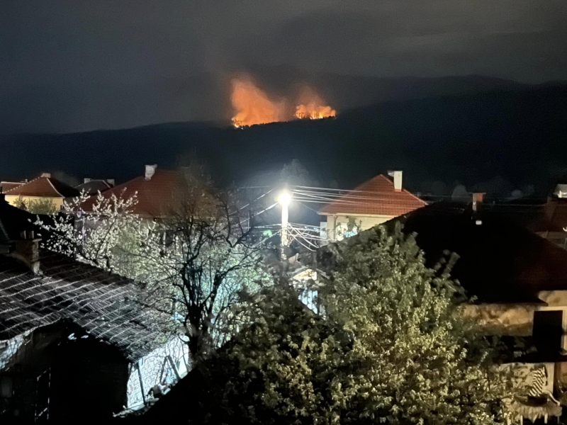 Голям пожар бушува вече 20 часа край Берковица, научи агенция