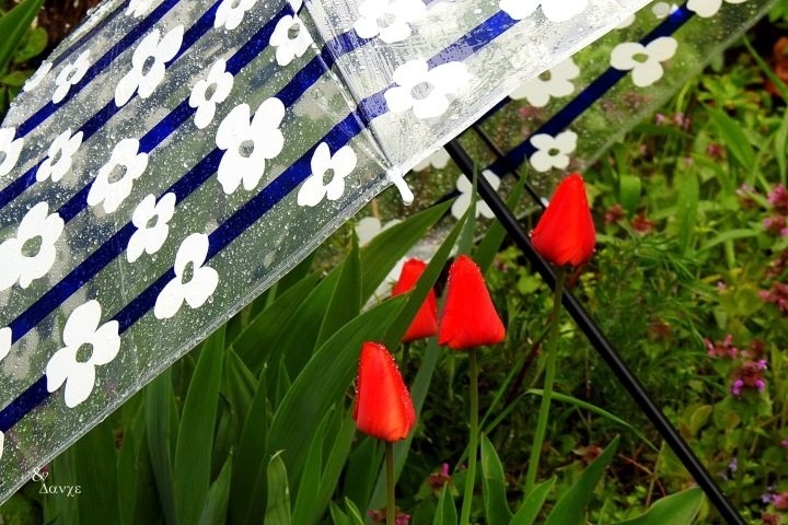 Времето в следващите дни: Най-топло остава в Северозапада