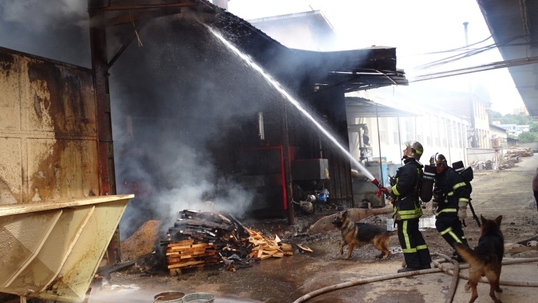 Бездомник пострада тежко при пожар в изоставена къща предаде областната