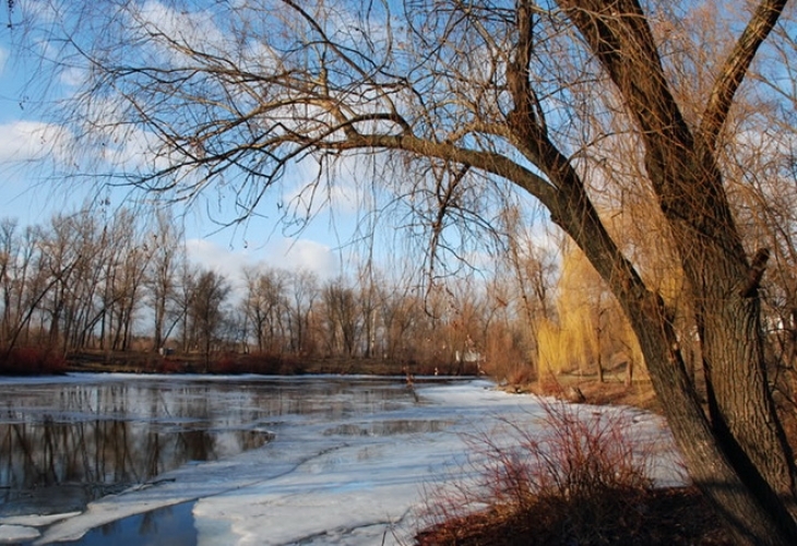 На 14 декември четвъртък дори минималните температури са над нулата което