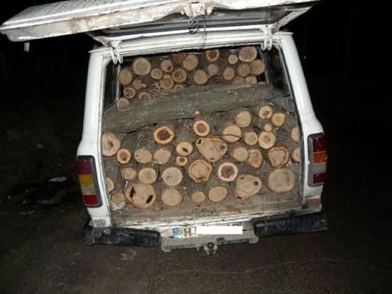 Полицията е заловила крадец на дърва във врачанското село Враняк
