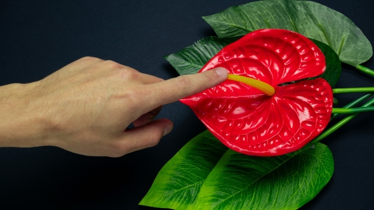 Клиторът е единственият орган в човешкото тяло който съществува с