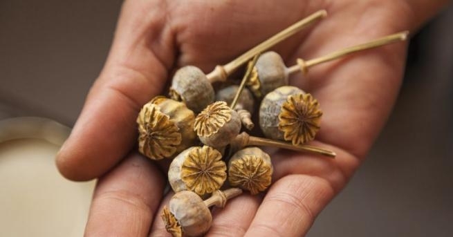 Иран залови 8 8 тона наркотици предназначени за Европа и разби