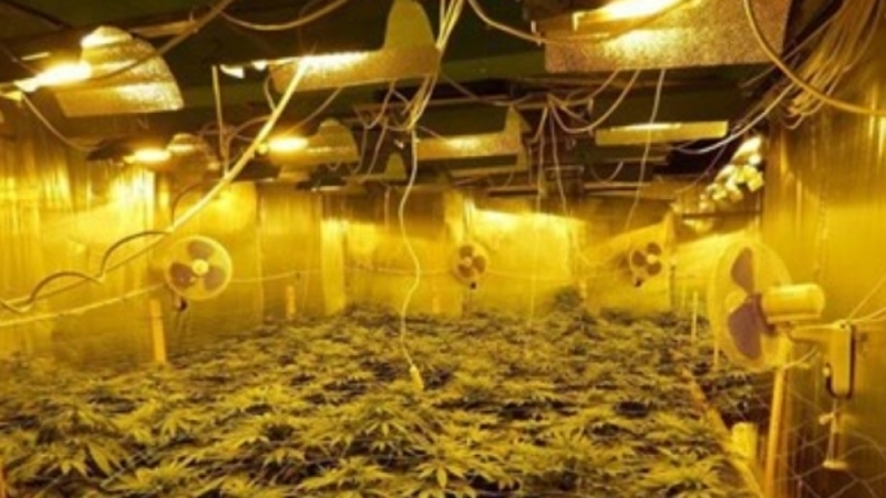 МВР излезе с официална информация за разкритата голяма нарколаборатория в