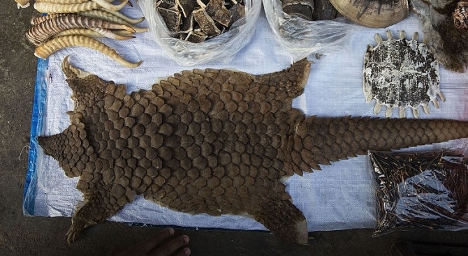 Митническите власти на международното летище Истанбул са иззели голямо количество