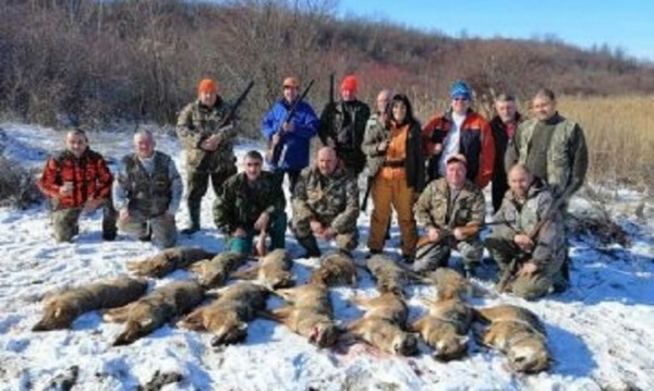 Тежък разгром на хищниците в равнината Златия нанесе ловната дружинка