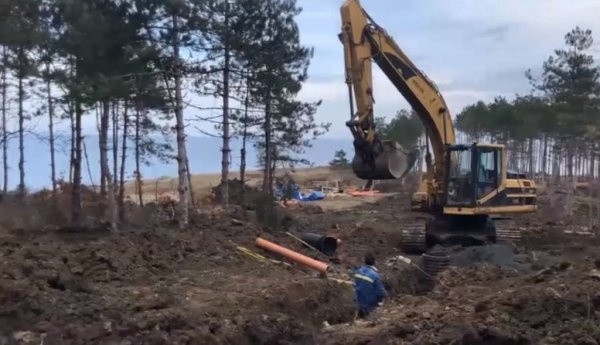 Борова гора се изсича край къмпинг Арапя за строителството на