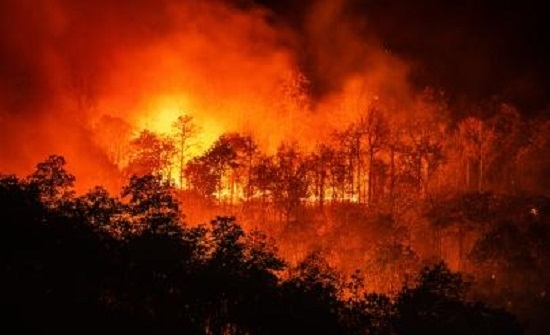 Четирима души са загинали в голям горски пожар в Кипър,