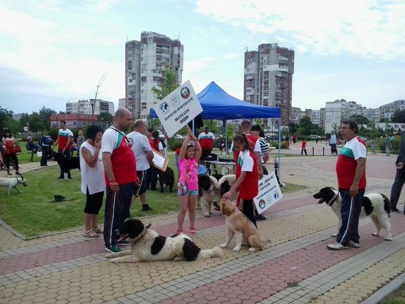 За поредна година Враца ще бъде домакин на Международна киноложка