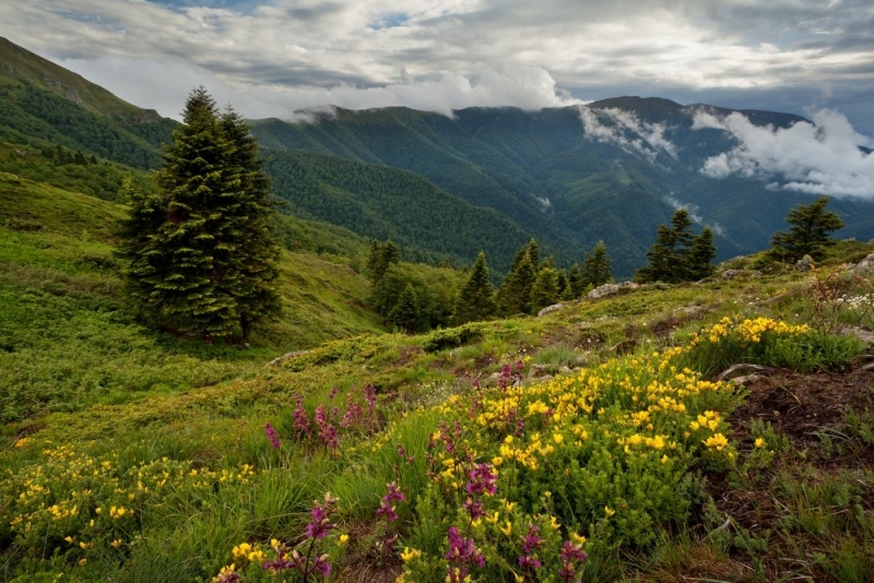 Открили са тялото на изгубената туристка в Рила съобщиха близките
