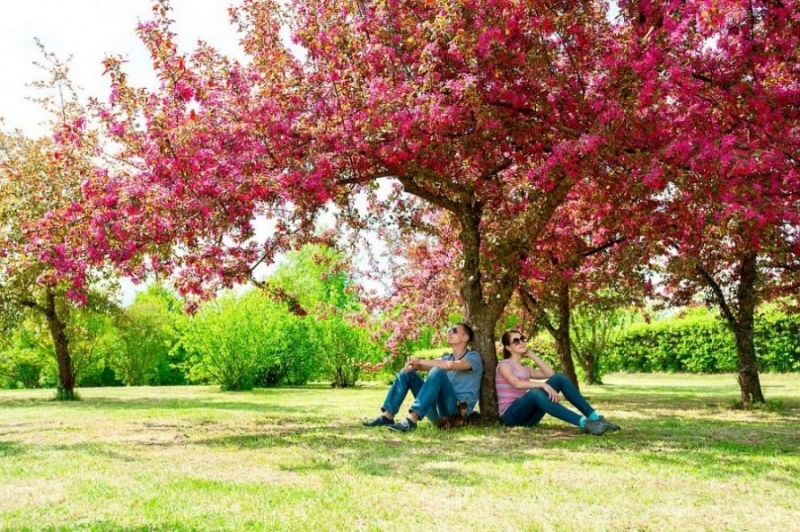 Днес ще бъде предимно слънчево