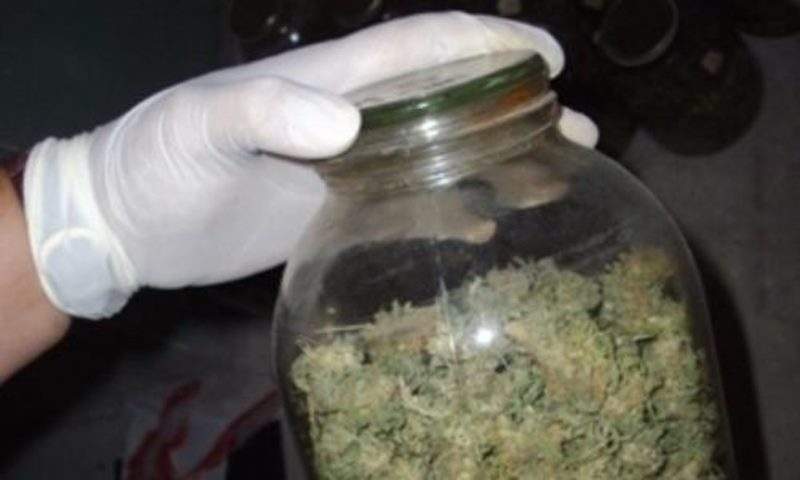 Служители на реда са намерили канабис в къща в Монтана