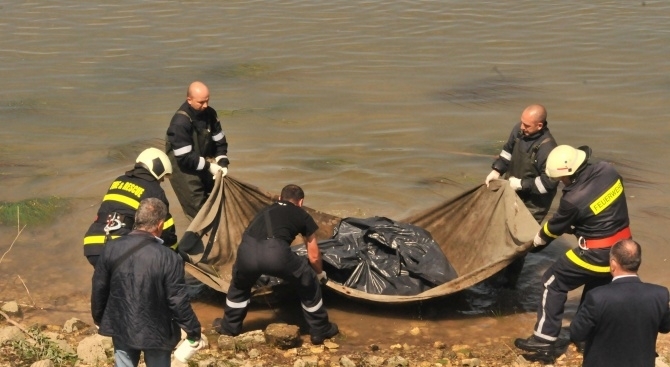 Река Дунав изхвърли труп на диво прасе в района на