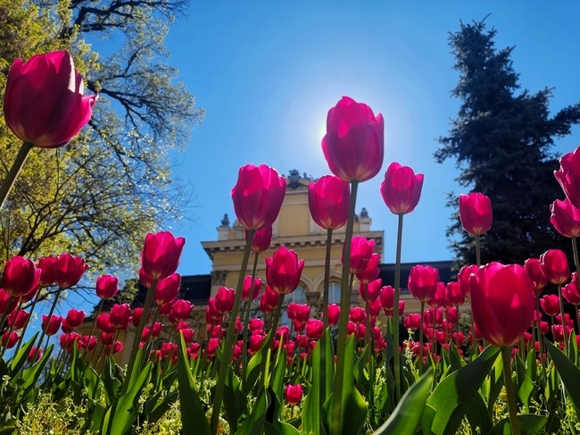 Днес ще бъде слънчево Ще духа слаб до умерен вятър
