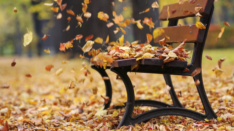 Днес облачността ще е променлива след обяд и вечерта на