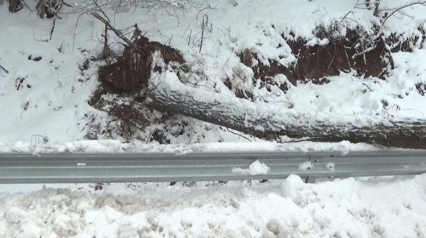 За Северозападна България е обявен оранжев код за обилен сняг