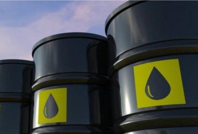 От днес влиза в сила забраната на Германия за внос