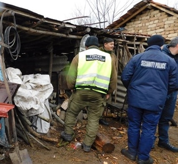 Служители на реда са конфискували незаконни дърва за огрев от