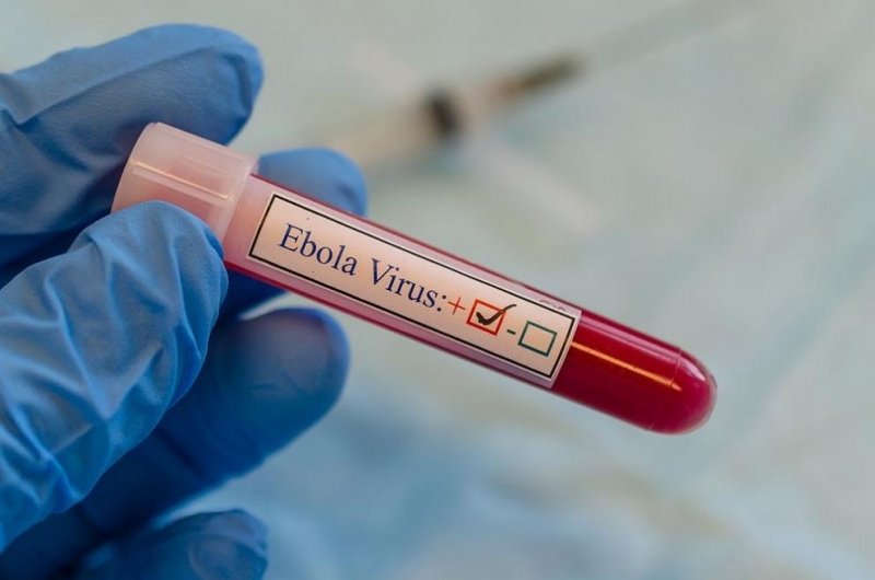 Здравни работници са открили нов случай на ебола в Демократична република