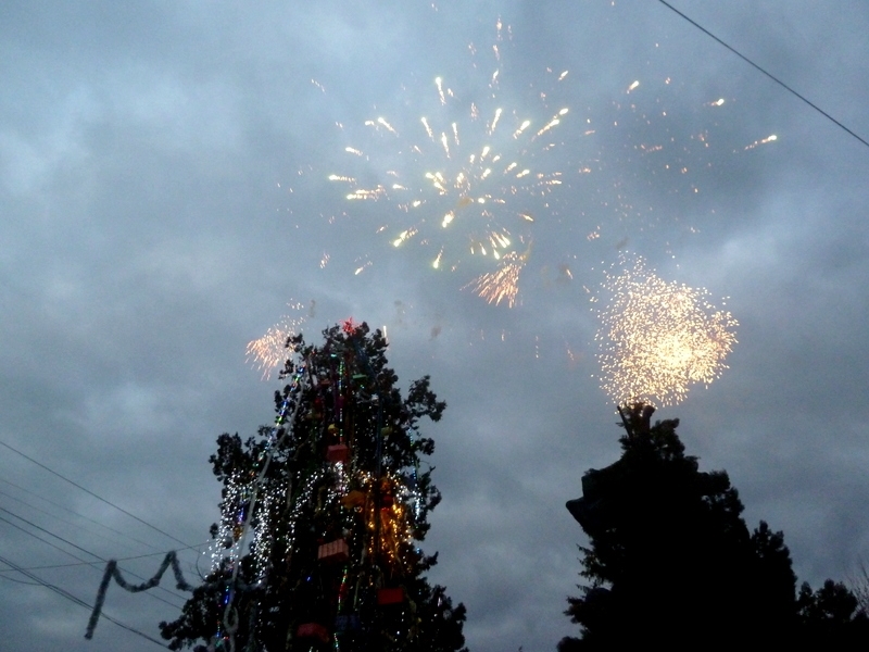 На 10 декември в община Борован беше представен Коледен спектакъл