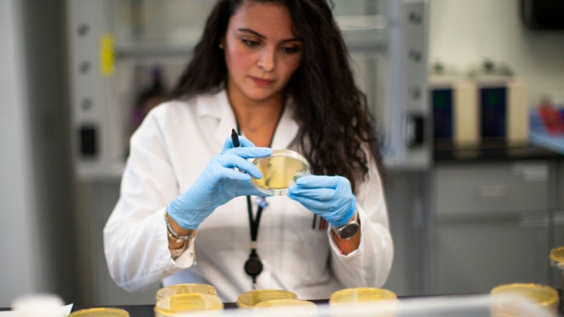 3616 или със 167 повече от вчера са новите болни