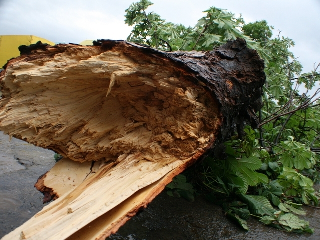 Окръжна прокуратура Монтана внесе за разглеждане в съда обвинителен