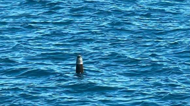 Българските Военноморски сили са открили останки от боеприпас недалеч от