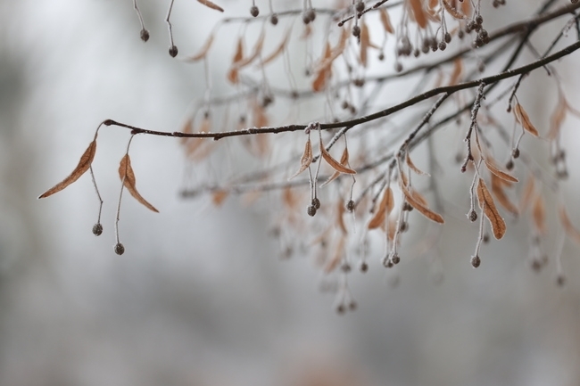 Днес ще бъде предимно слънчево Над източните райони ще има