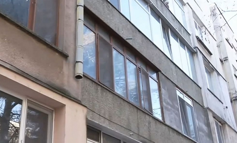 Истински кошмар: Смрад и шум от многобройни кучета и котки тормозят жителите на блок в Монтана