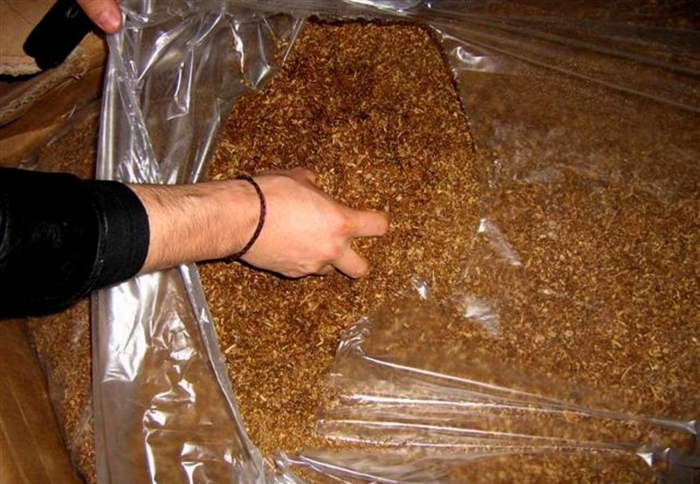 Специализираната прокуратура ГДБОП и служители на Териториалната служба БОП Пловдив Пазарджик