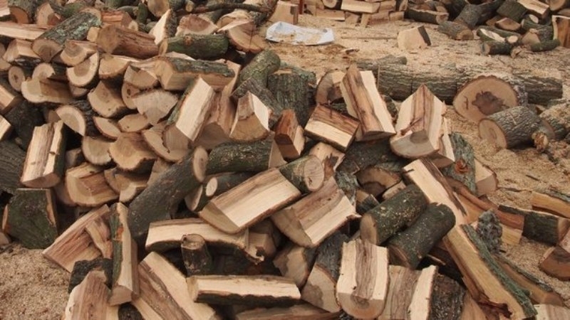 Откриха незаконни дърва в няколко имота във Врачанско съобщиха от