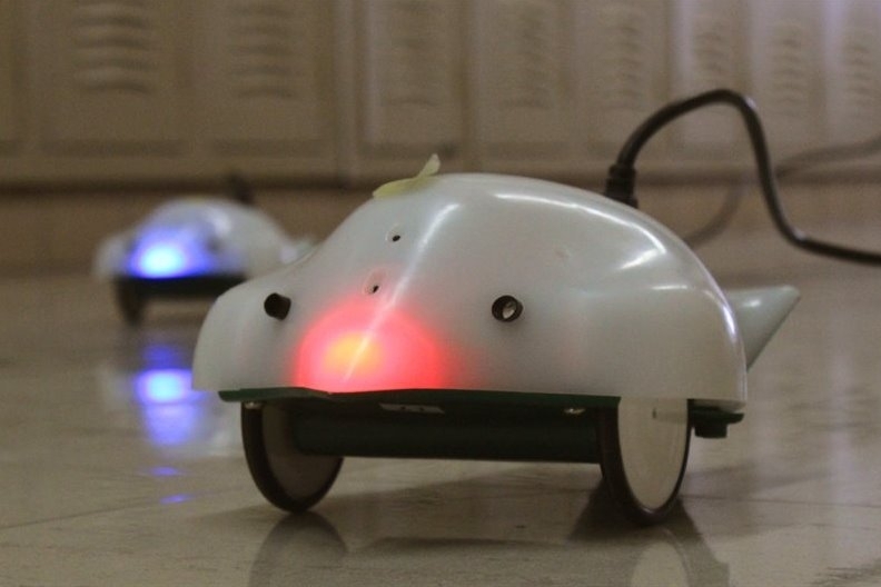 За втора поредна година деца от 8 до 11 години