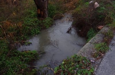 Жители на Видин са подали сигнали за непоносима воня от