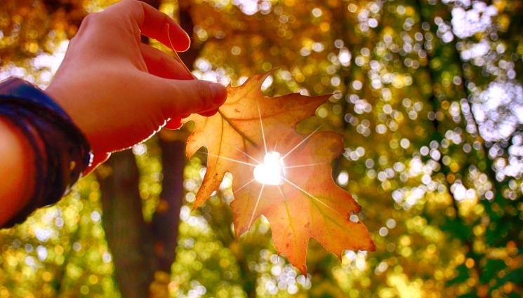 През нощта в по голямата част от страната ще бъде предимно