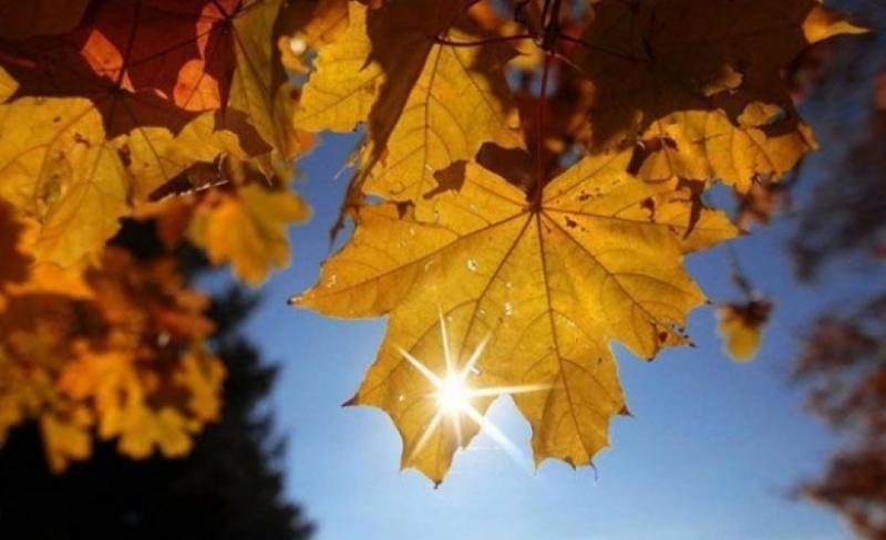 Днес облачността ще е по често значителна Ще има валежи от