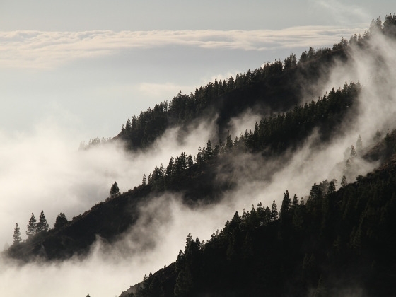 През следващото денонощие над страната ще преобладава облачно в равнините