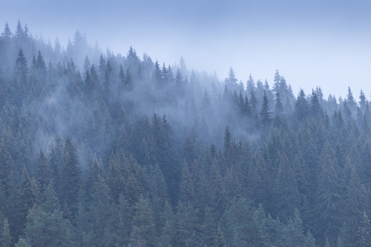 Днес в сутрешните часове на места в низините и около