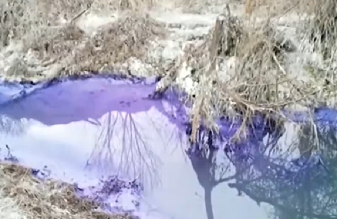 Пoлиция и прoкурaтурa влязoхa в зaвoдa зa хaртия в Никoпoл