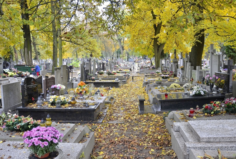 Търговия с гробни места рекет изнудвания твърдения за обрани трупове