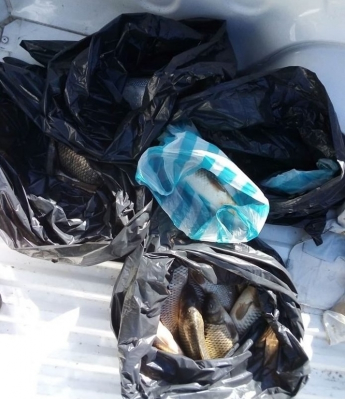 20 килограма риба дариха от ИАРА на Дома за стари