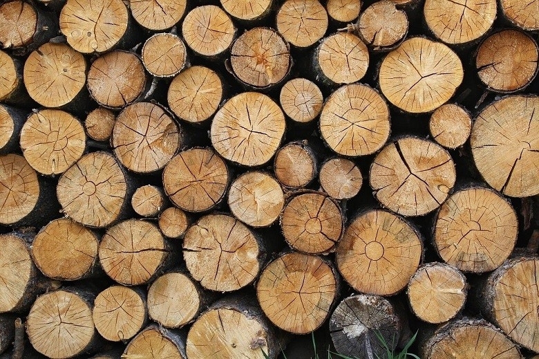 Откриха 15 кубика незаконни дърва в къща във Видинско, съобщиха