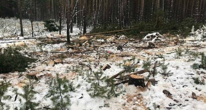 19 годишна девойка от Врачанско е хваната за бракониерство съобщиха