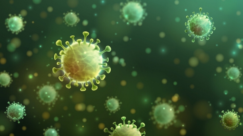 Лекарите и властите в Индия са загрижени от разпространението за