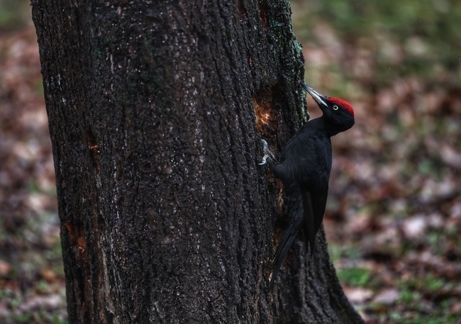 Днес ще преобладава слънчево време Ще духа слаб до умерен