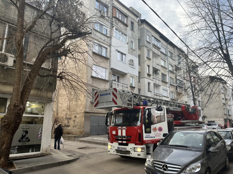 Екипи на пожарната и гражданска защита отстраняват опасно надвиснали клони