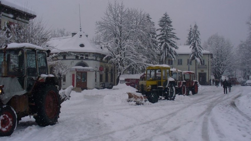Кметът на Берковица Димитранка Каменова издаде заповед във връзка с