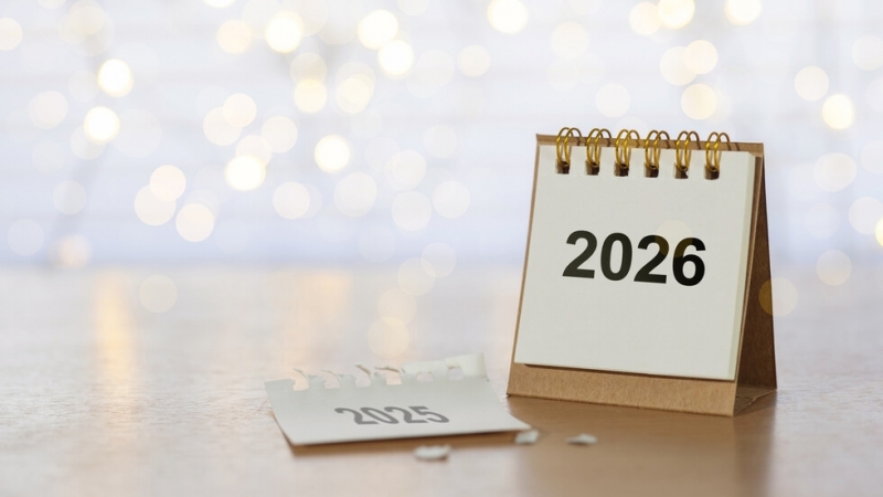 Една трета от българите определят изминалата година като добра за